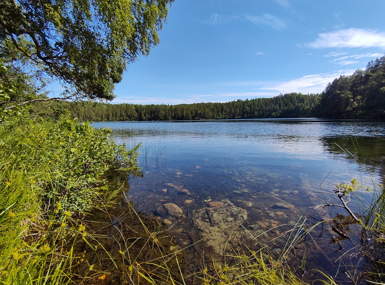 A view across lake Balestjärnen, the water is increadibly clear, you can still see rocks on the lake bed some 10m away under the water