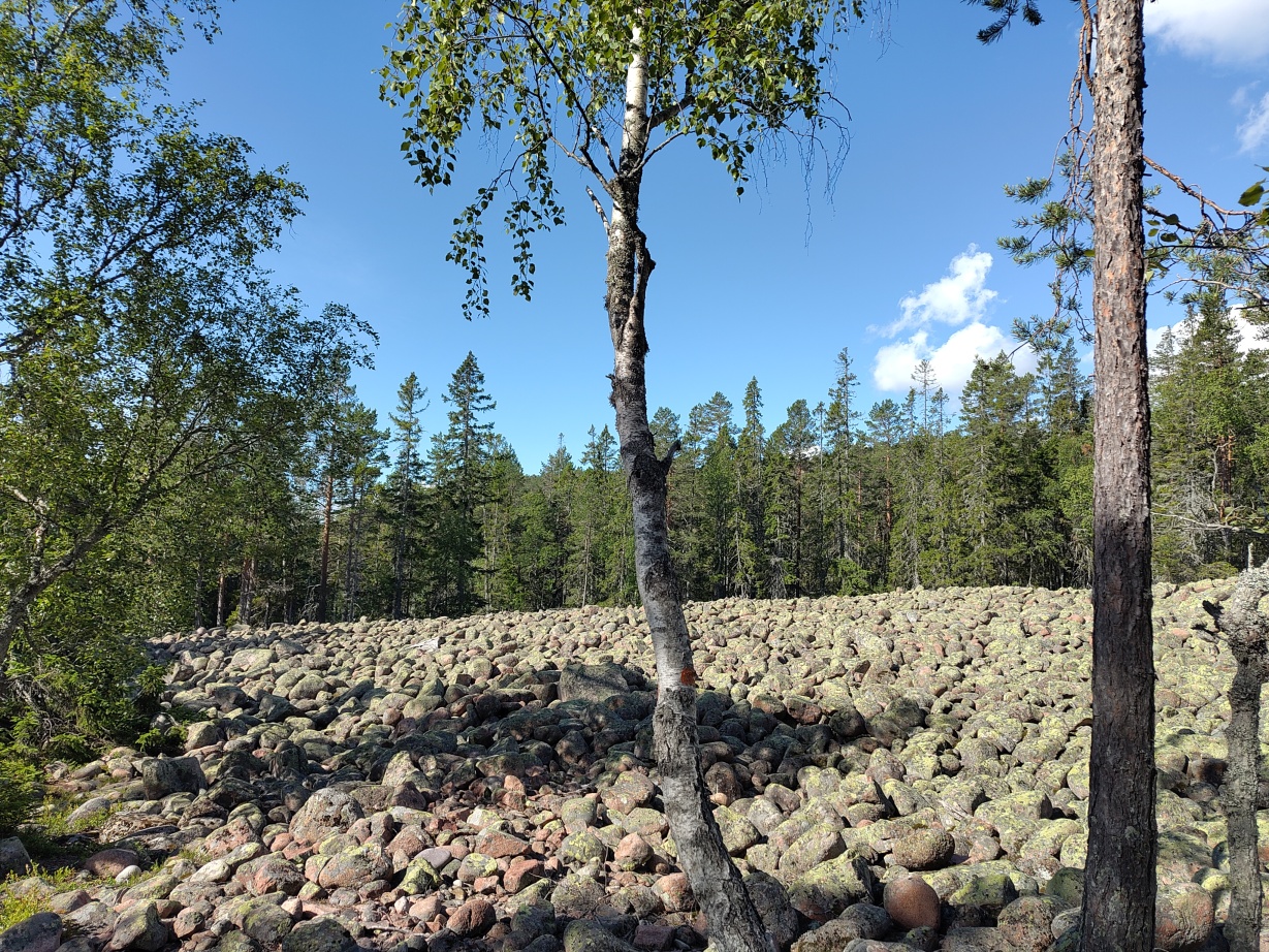 A view of a random Klapperfält in Skuleskogen