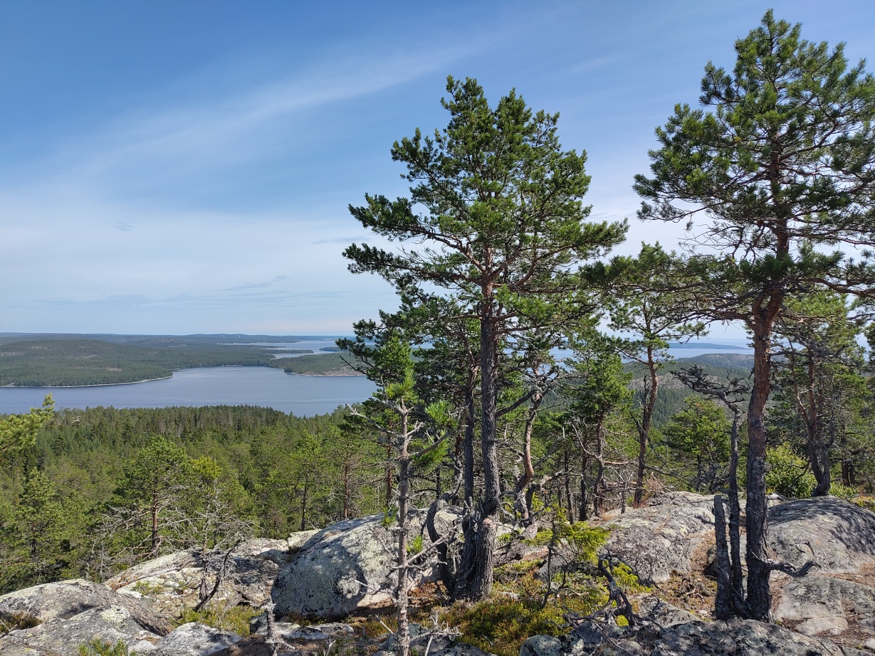A view from mountain Täcksklippen with a few islands and parts of the baltic sea